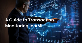 Fraud and Instapayments_ Navigating Risks in Digital Payment Ecosystems