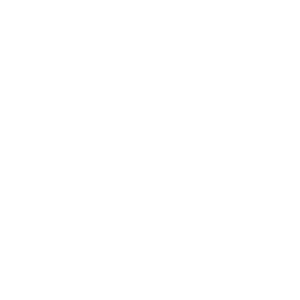 End-to-End Fraud Management